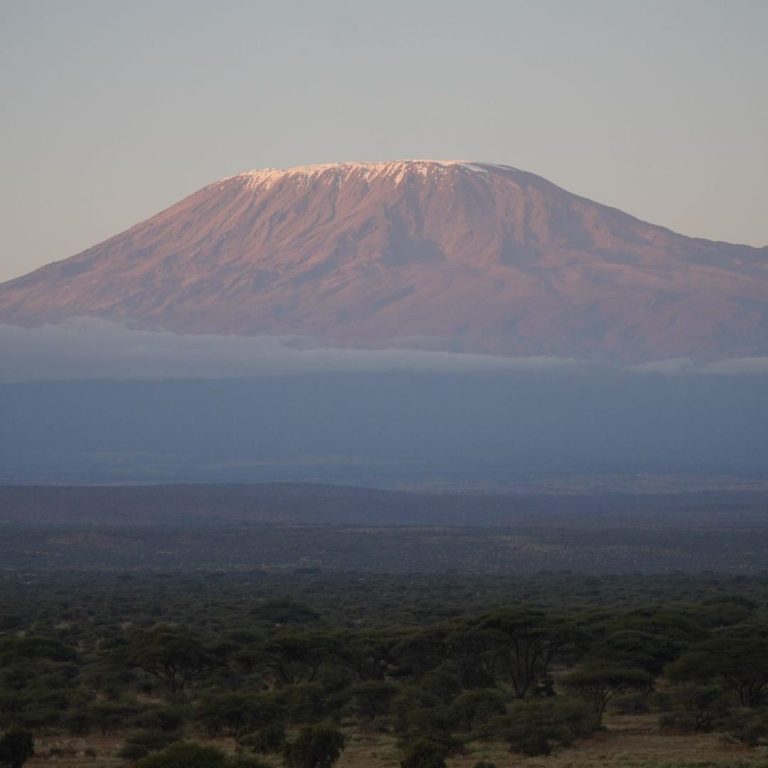 Nationalparks Kenia: Blick auf den Kilimandscharo