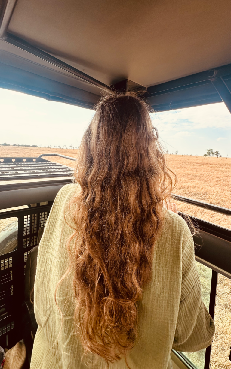 Safari in Afrika: Ich stehe in einem Geländewagen