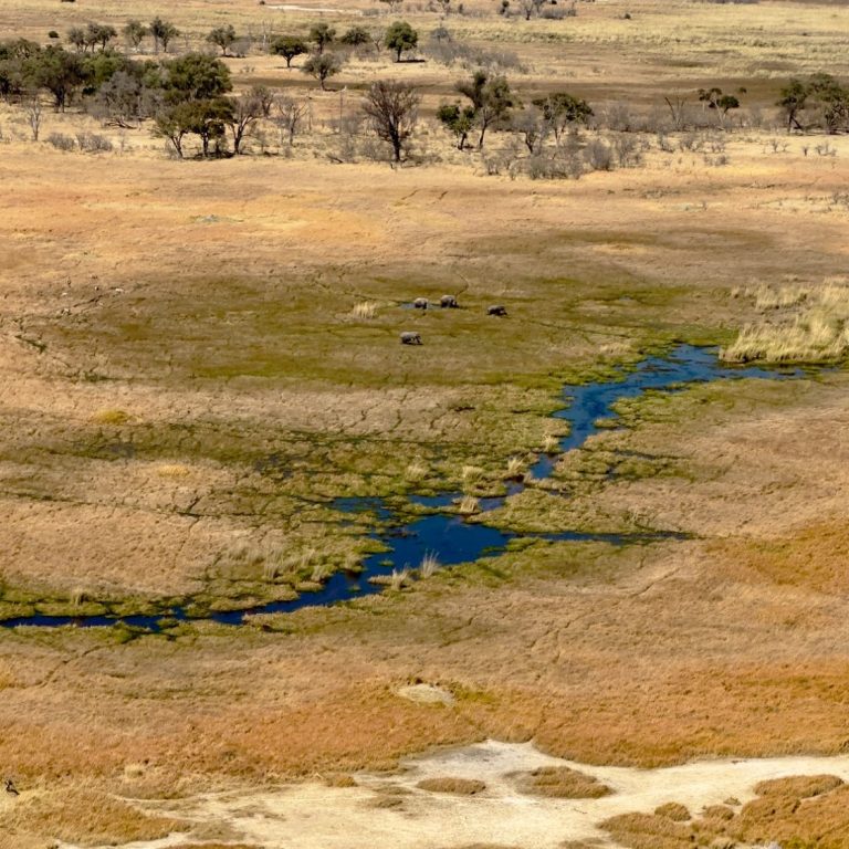 Blick von oben auf die Wasserläufe des Okavango Deltas