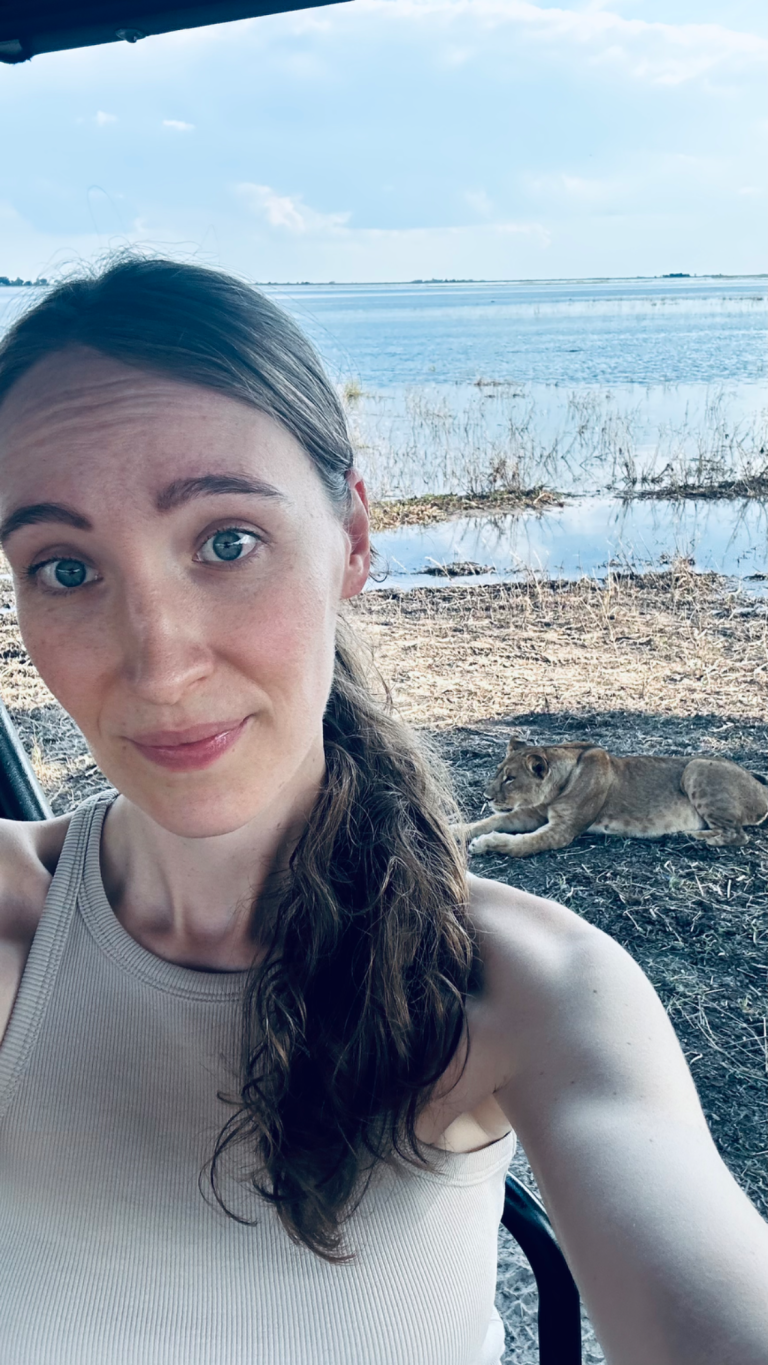 Safari in Afrika: Löwen direkt vor dem Auto